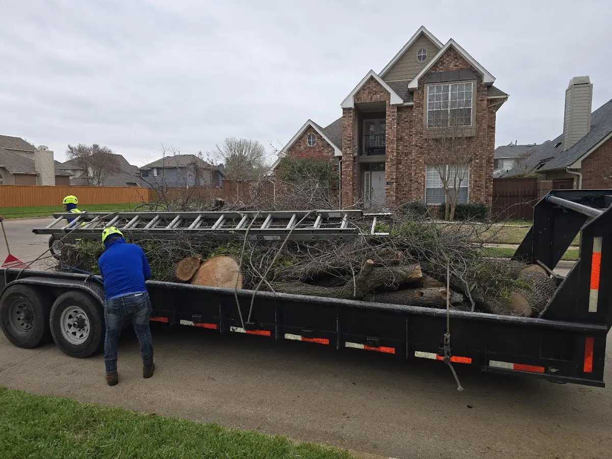 Expert Tree Pest Control with proper safety equipment in East Windsor Hill